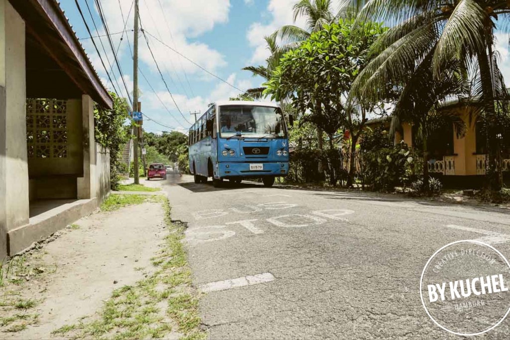 Bus